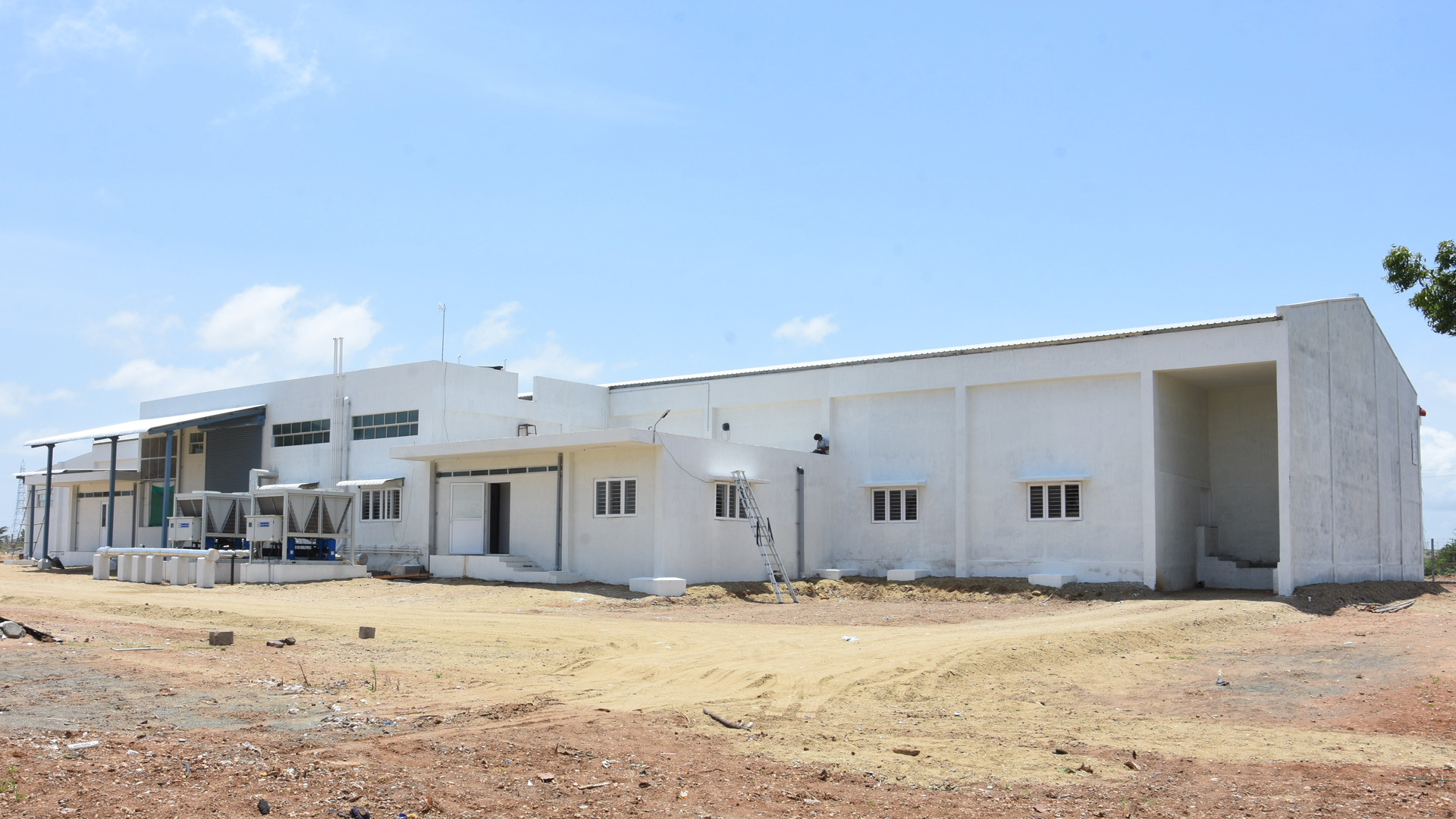 Eggs Hatchery Division